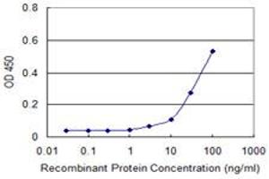 Detection limit for recombinant GST tagged CDC2 is approximately 30ng/ml as a capture antibody. (CDK1 抗体  (AA 1-297))