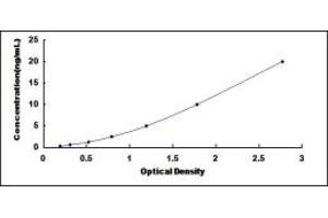 Typical standard curve (AOX1 ELISA 试剂盒)
