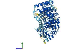 Protein Structure (PS) image for Leucine Rich Repeat Containing 14 (LRRC14) (AA 1-493) protein (His tag) (ABIN7549107)