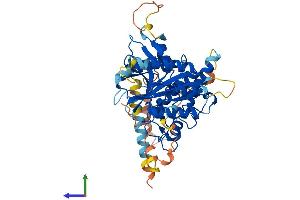 Protein Structure (PS) image for Autophagy related 4C Cysteine Peptidase (ATG4C) (AA 1-458) protein (His tag) (ABIN7552465)