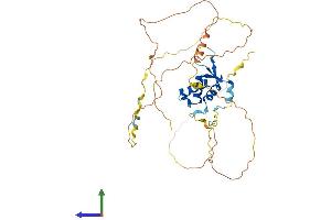 Protein Structure (PS) image for Forkhead Box L2 (FOXL2) (AA 1-376) protein (His tag) (ABIN7553978)