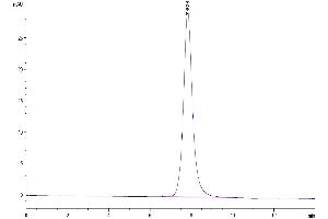 Size-exclusion chromatography-High Pressure Liquid Chromatography (SEC-HPLC) image for Complement Factor D (CFD) (AA 26-259) protein (Fc Tag) (ABIN7274336)