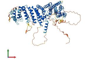 Protein Structure (PS) image for RRN3 RNA Polymerase I Transcription Factor (RRN3) (AA 1-656) protein (His tag) (ABIN7562052)