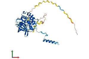 Protein Structure (PS) image for Mitogen-Activated Protein Kinase-Activated Protein Kinase 2 (MAPKAPK2) (AA 1-400) protein (His tag) (ABIN7554515)