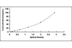 Typical standard curve (CYP2D6 ELISA 试剂盒)