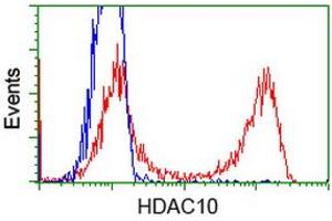 HEK293T cells transfected with either RC218536 overexpress plasmid (Red) or empty vector control plasmid (Blue) were immunostained by anti-HDAC10 antibody (ABIN2453115), and then analyzed by flow cytometry. (HDAC10 抗体)
