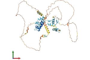 Protein Structure (PS) image for Zinc Finger Protein 446 (ZNF446) (AA 1-450) protein (His tag) (ABIN7545804)