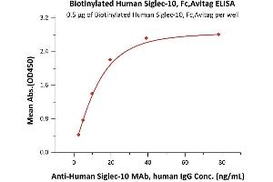 ELISA image for Sialic Acid Binding Ig-Like Lectin 10 (SIGLEC10) (AA 17-546) protein (Fc Tag,AVI tag,Biotin) (ABIN6938924)