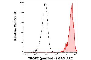 Separation of A431 cells (red-filled) from human peripheral whole blood cells (black-dashed) in flow cytometry analysis (surface staining) stained using anti-human TROP-2 (TrMab-6) purified antibody (concentration in sample 1,7 μg/mL, GAM APC). (TACSTD2 抗体)