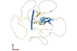 Protein Structure (PS) image for Rab11 Family-Interacting Protein 1 (RAB11FIP1) (AA 1-645) protein (His tag) (ABIN7561032)