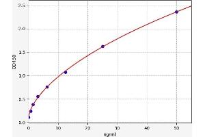 Typical standard curve (IGSF1 ELISA 试剂盒)