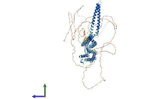 Protein Structure (PS) image for Potassium Intermediate/small Conductance Calcium-Activated Channel, Subfamily N, Member 2 (KCNN2) (AA 1-839) protein (His tag) (ABIN7563466)