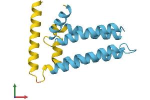 Protein Structure (PS) image for SFT2 Domain Containing 1 (SFT2D1) (AA 1-159) protein (His tag) (ABIN7546035)
