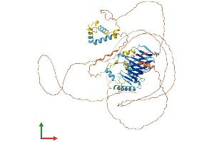 AlphaFold protein structure predicition of Human Recombinant ERICH6B Protein, UniprotID Q5W0A0 (ERICH6B (AA 1-696) protein (His tag))