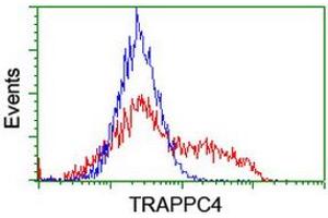 Image no. 2 for anti-Trafficking Protein Particle Complex 4 (TRAPPC4) antibody (ABIN1501264) (TRAPPC4 抗体)