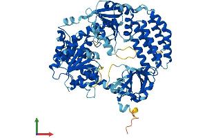 AlphaFold protein structure predicition of Mouse Recombinant Dhx58 Protein, UniprotID Q99J87
