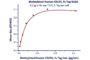 Image no. 1 for Poliovirus Receptor (PVR) (AA 21-343) (Active) protein (Fc Tag,AVI tag,Biotin) (ABIN3137677)