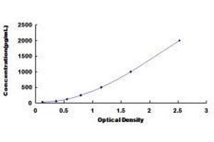 ELISA image for Chemokine (C-X-C Motif) Ligand 11 (CXCL11) ELISA Kit (ABIN425286)