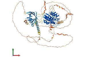 Protein Structure (PS) image for Mediator Complex Subunit 25 (MED25) (AA 1-747) protein (His tag) (ABIN7554558)