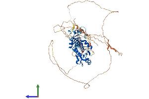 Protein Structure (PS) image for Dual Specificity Phosphatase 8 (DUSP8) (AA 1-663) protein (His tag) (ABIN7562250)