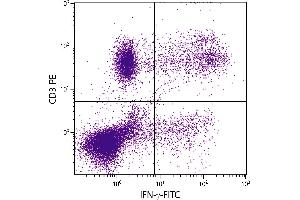 PMA and ionomycin stimulated human peripheral blood lymphocytes were stained with Mouse Anti-Human CD3-PE. (Interferon gamma 抗体)