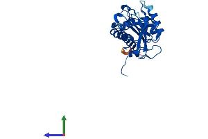 AlphaFold protein structure predicition of Mouse Recombinant Apip Protein, UniprotID Q9WVQ5
