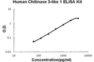 Human Chitinase 3-like 1/YKL-40 Accusignal ELISA Kit Human Chitinase 3-like 1/YKL-40 AccuSignal ELISA Kit standard curve. (Chitinase 3-Like 1/YKL-40 ELISA 试剂盒)