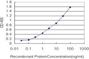 Detection limit for recombinant GST tagged MGC16169 is approximately 0. (TBCK 抗体  (AA 601-700))