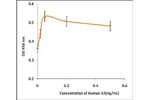 Interleukin 5 (IL5) (Active) protein