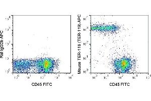 C57Bl/6 bone marrow cells were stained with FITC Anti-Mouse CD45 (ABIN6961266) and 0. (Ly76 抗体  (APC))