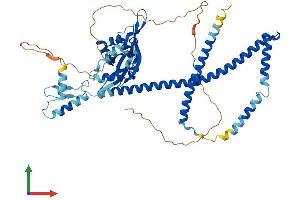 AlphaFold protein structure predicition of Mouse Recombinant Nup54 Protein, UniprotID Q8BTS4