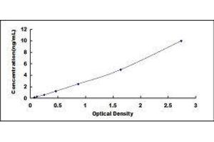 Typical standard curve (ENO2/NSE ELISA 试剂盒)