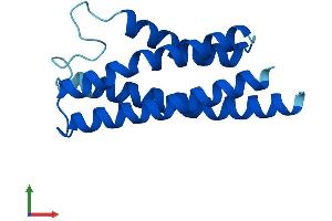 AlphaFold protein structure predicition of Human Recombinant CNIH4 Protein, UniprotID Q9P003