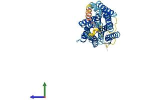 AlphaFold protein structure predicition of Mouse Recombinant Tbxa2r Protein, UniprotID P30987