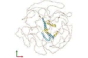 AlphaFold protein structure predicition of Mouse Recombinant Rtn4 Protein, UniprotID Q99P72