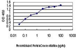 Detection limit for recombinant GST tagged GAK is approximately 0. (GAK 抗体  (AA 151-250))