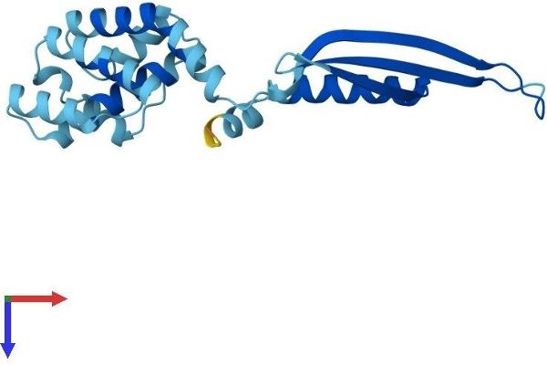 COMMD2 Protein (AA 1-199) (His tag)