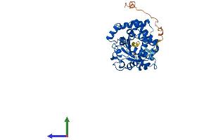 AlphaFold protein structure predicition of Mouse Recombinant Ttpal Protein, UniprotID Q9D3D0 (TTPAL Protein (AA 1-343) (His tag))
