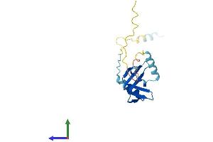 Protein Structure (PS) image for Basic Transcription Factor 3-Like 4 (BTF3L4) (AA 1-158) protein (His tag) (ABIN7552910)