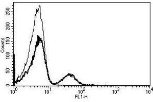 A typical staining pattern with the B-C3 monoclonal antibody of lymphocytes (CD19 抗体)