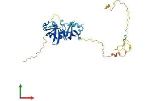 Protein Structure (PS) image for Ubiquitin Fusion Degradation Protein 1 Homolog (UFD1L) (AA 1-307) protein (His tag) (ABIN7544953)