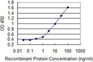 ELISA image for anti-Apurinic/Apyrimidinic Endonuclease 1 (APEX1) (AA 1-318) antibody (ABIN513395)