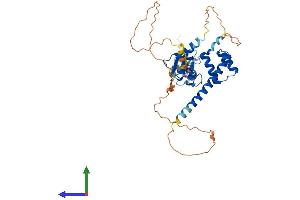 AlphaFold protein structure predicition of Human Recombinant LMX1A Protein, UniprotID Q8TE12