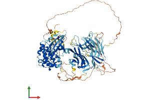 Protein Structure (PS) image for Mitogen-Activated Protein Kinase Kinase Kinase Kinase 1 (MAP4K1) (AA 1-827) protein (His tag) (ABIN7563516)