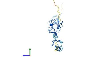 AlphaFold protein structure predicition of Human Recombinant ZFAND2A Protein, UniprotID Q8N6M9