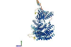 AlphaFold protein structure predicition of Mouse Recombinant Ints7 Protein, UniprotID Q7TQK1