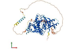 Protein Structure (PS) image for Arginyltransferase 1 (ATE1) (AA 1-516) protein (His tag) (ABIN7556414)