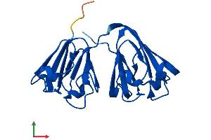 Protein Structure (PS) image for Crystallin, gamma N (CRYGN) (AA 1-183) protein (His tag) (ABIN7559925)
