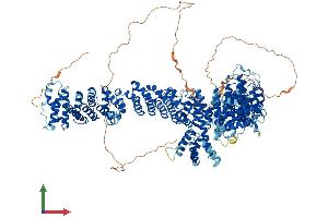 Protein Structure (PS) image for PDS5, Regulator of Cohesion Maintenance, Homolog A (PDS5A) (AA 1-1337) protein (His tag) (ABIN7554897)