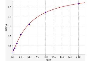 Typical standard curve (EIF2AK2 ELISA 试剂盒)